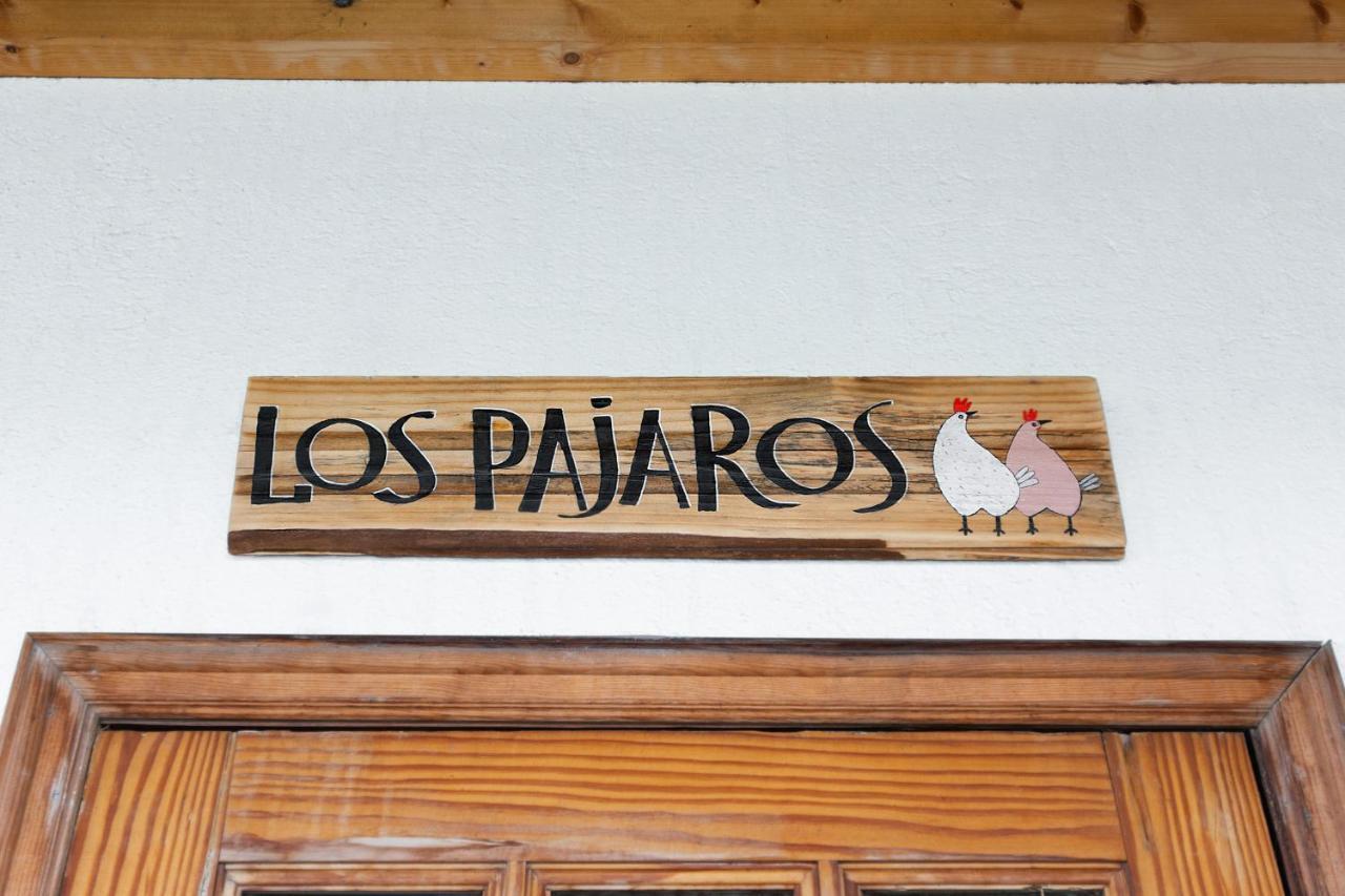 Pajaros *