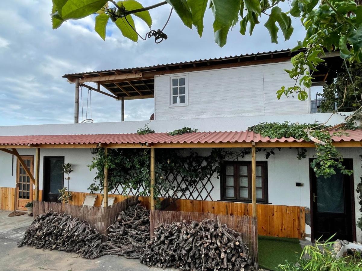 Gospodarstwo agroturystyczne Pajaros Santa Cruz de Tenerife