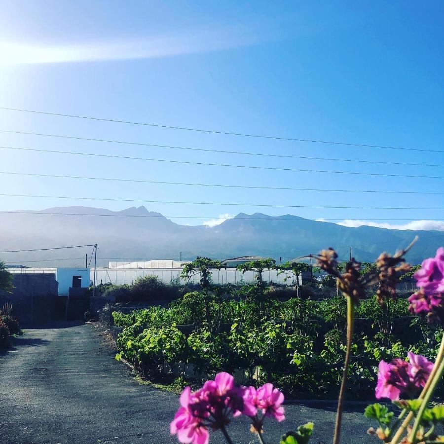 Pajaros Farm stay